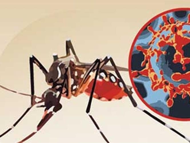 ESTADOS UNIDOS Y BRASIL ACELERARÁN DESARROLLO DE VACUNA CONTRA EL ZIKA
