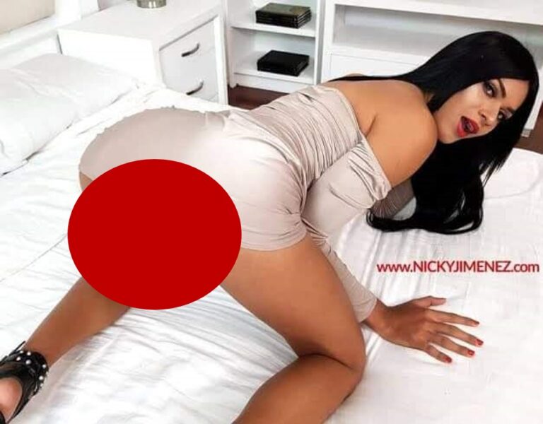 Travestis ideológicos se empinan ante la caterva de saltimbanquis que invade  Morena-Yucatán