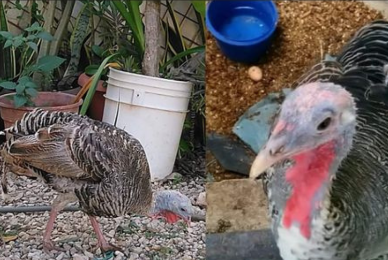 Diseno-sin-titulo-2021-12-10T143128.063