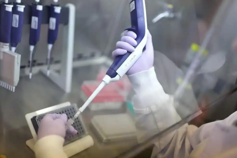 EU registra el primer caso humanos de gripe aviar H5