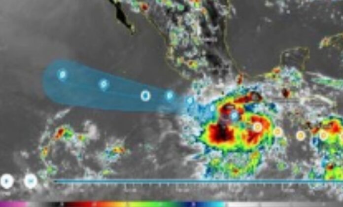 InShot_20220704_095146636