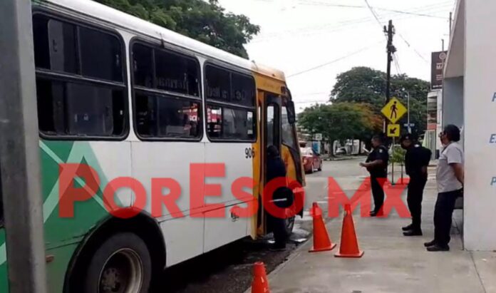 InShot_20220811_170344470