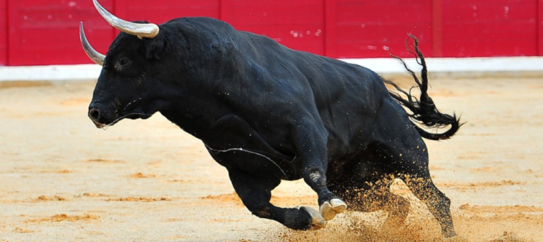 Ciudad de México prohíbe las corridas de toros tradicionales y aprueba versión sin violencia