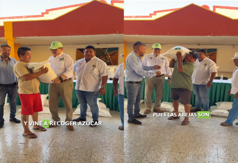 Ramírez Marín impulsa apoyo directo a apicultores de Yucatán ante crisis del sector