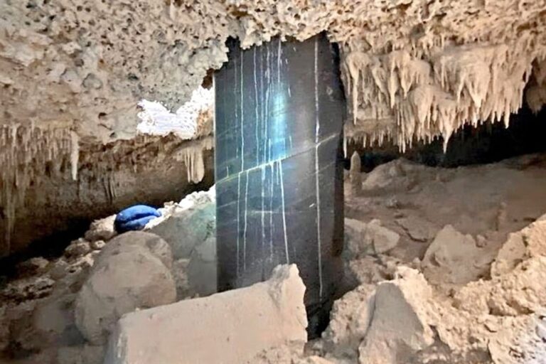 Alertan riesgo ambiental y estructural en el Tramo 5 Sur del Tren Maya por daños detectados en pilotes